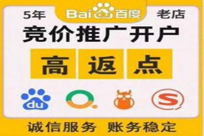 成功案例揭秘：百度竞价账户托管的运营之道